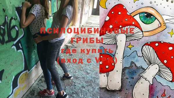 jwh Абаза