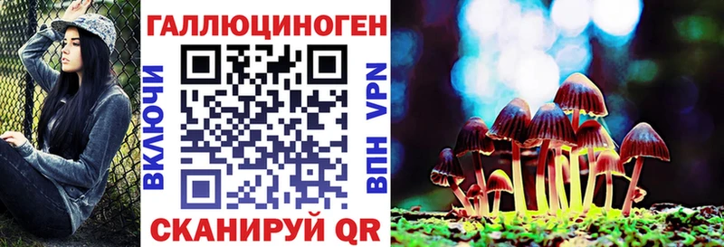 Галлюциногенные грибы Psilocybine cubensis  блэк спрут зеркало  Лосино-Петровский 